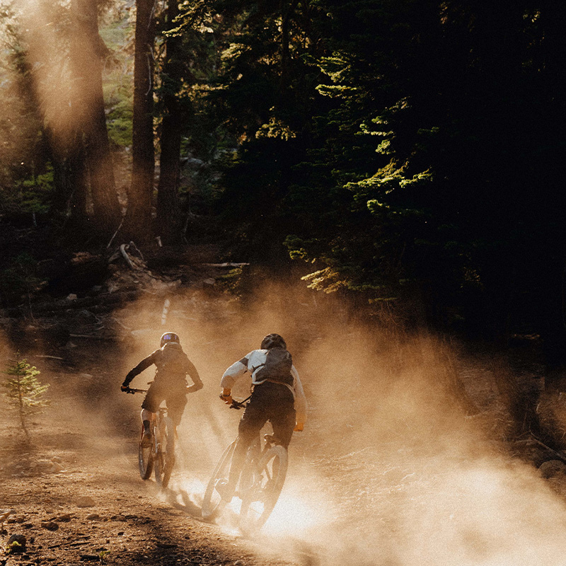 The Bike for Race Day and Every Other Day